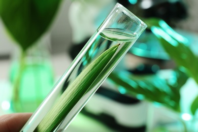 Photo of Lab assistant holding test tube with leaf on blurred background, closeup. Plant chemistry