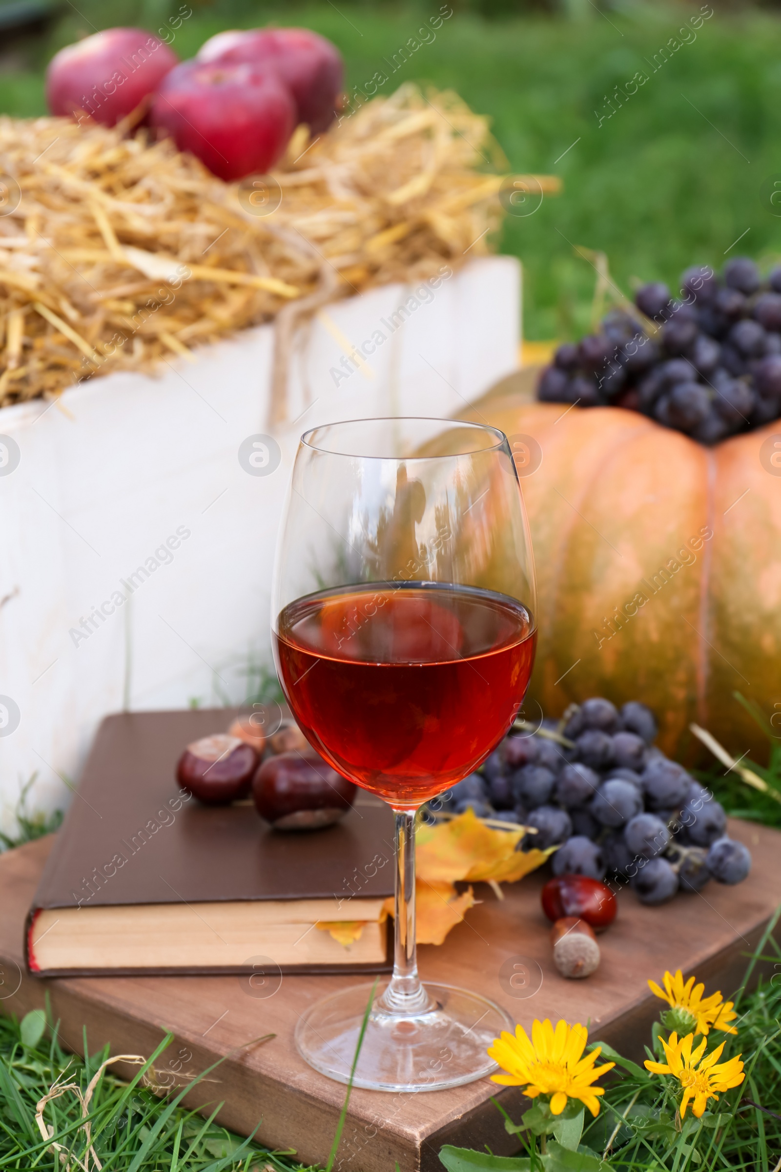 Photo of Glass of wine, book, pumpkin and grapes on green grass outdoors. Autumn picnic