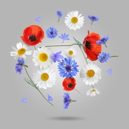 Image of Beautiful meadow flowers falling on grey background