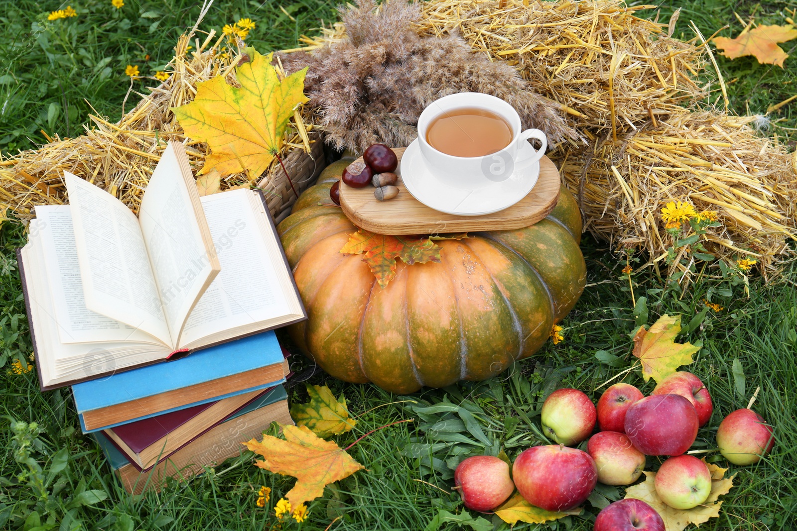 Photo of Books, pumpkin, apples and cup of tea on green grass outdoors. Autumn season