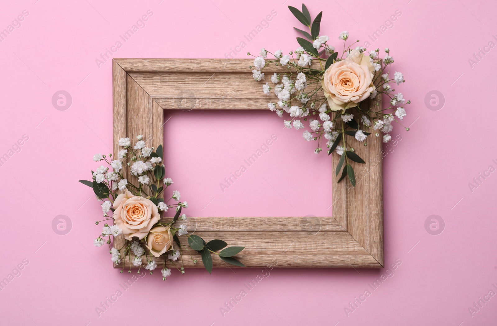 Photo of Wooden frame with gypsophila flowers, eucalyptus and roses on pink background. Space for text