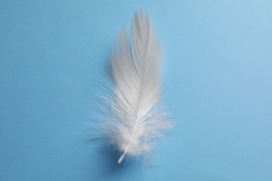 Fluffy white feather on light blue background, top view