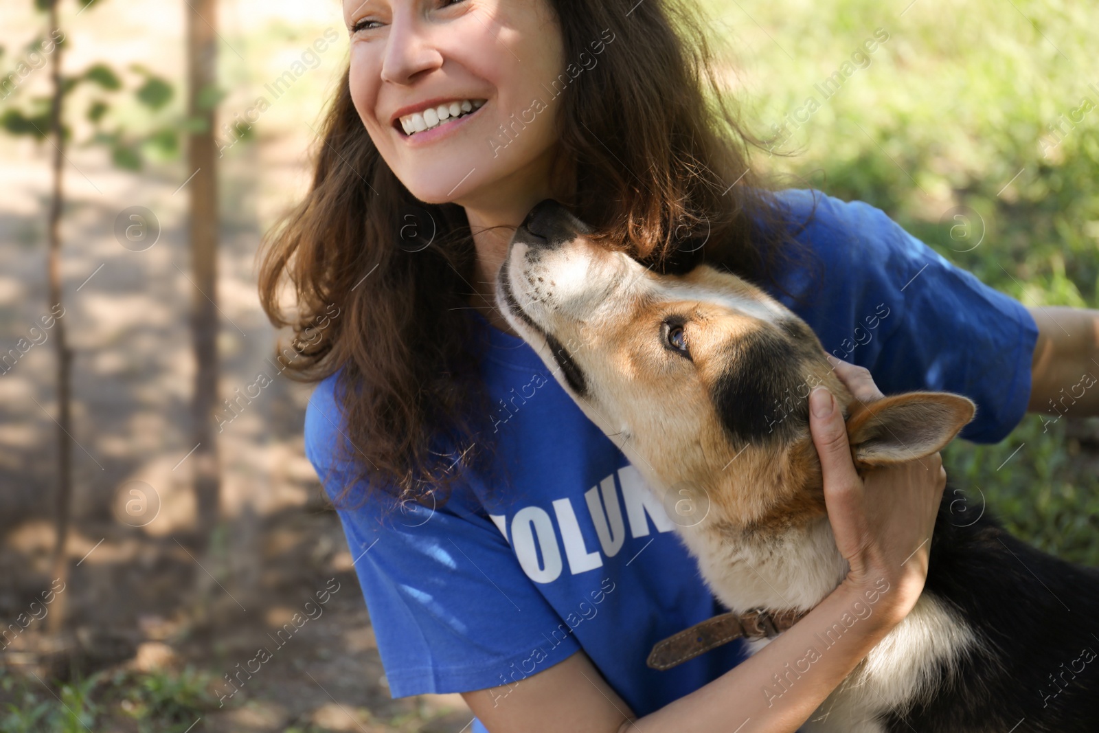 Photo of Volunteer with homeless dog in animal shelter