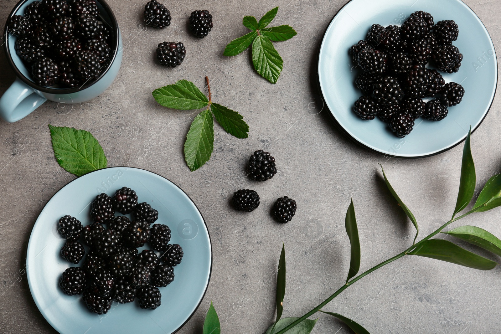 Photo of Flat lay composition with plates of fresh blackberry and leaves on gray background