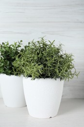 Aromatic rosemary and oregano growing in pots on white wooden table