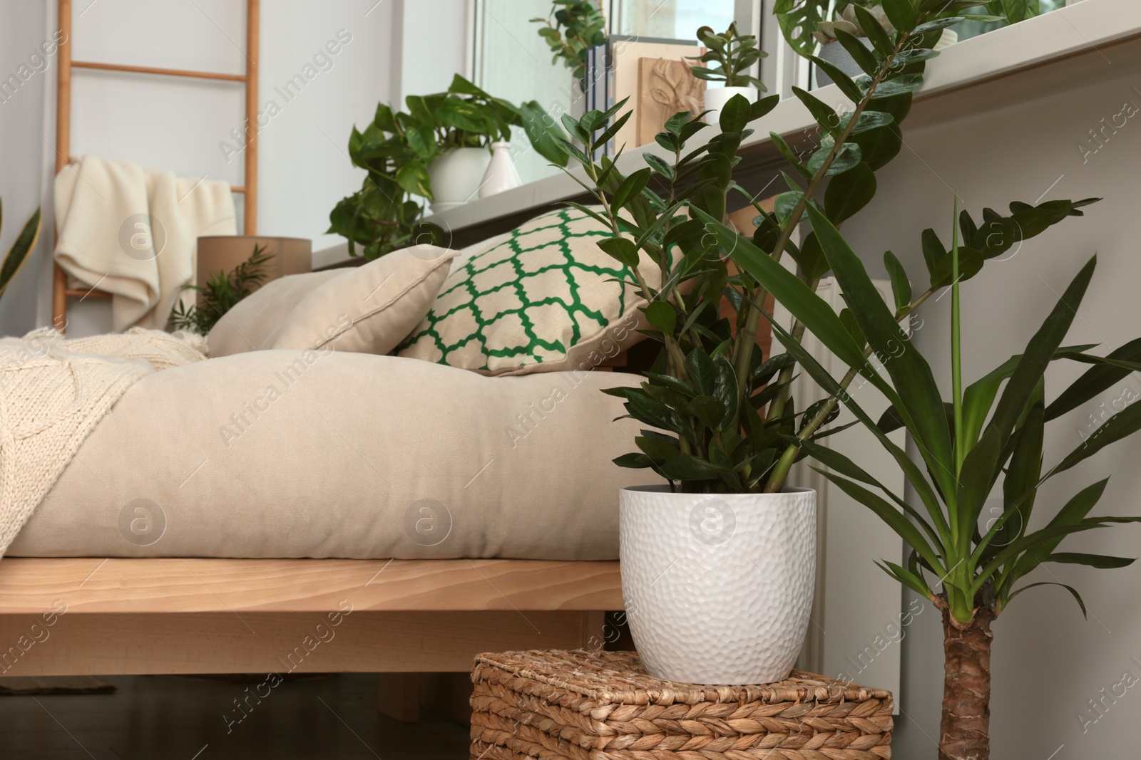 Photo of Stylish bedroom interior with beautiful house plants. Home design idea