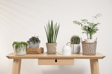 Photo of Green houseplants in pots and watering can on wooden table near white wall