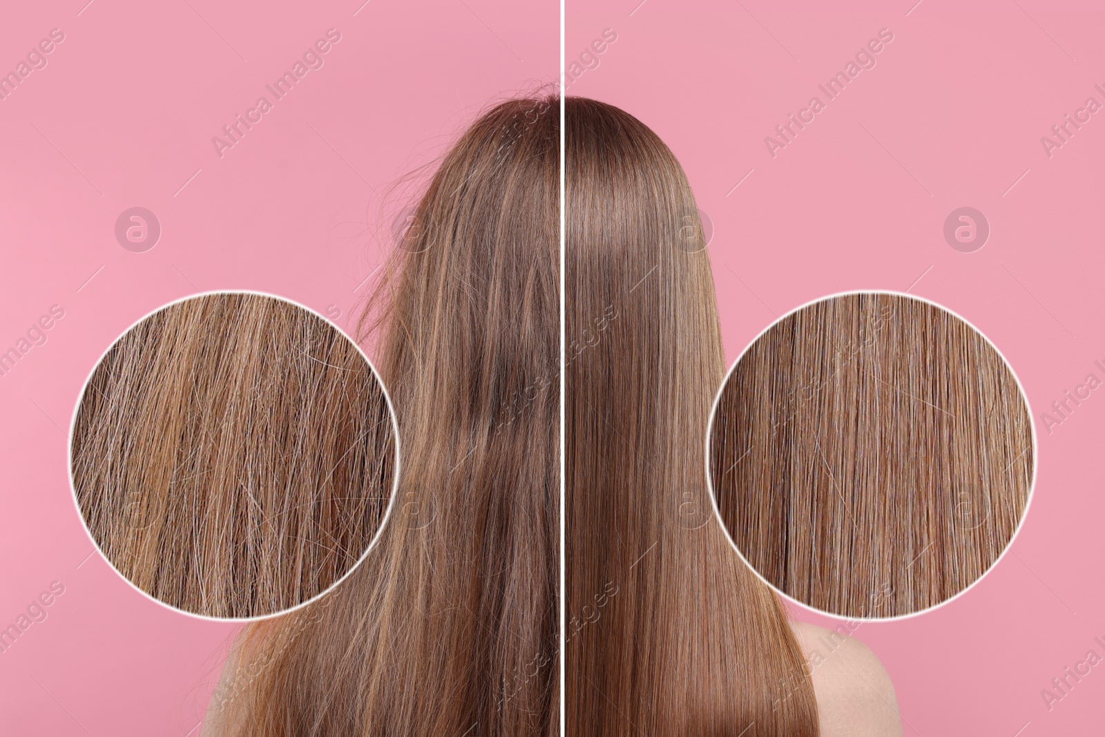 Image of Photo of woman divided into halves before and after hair treatment on pink background, back view. Zoomed area showing damaged and healthy strand