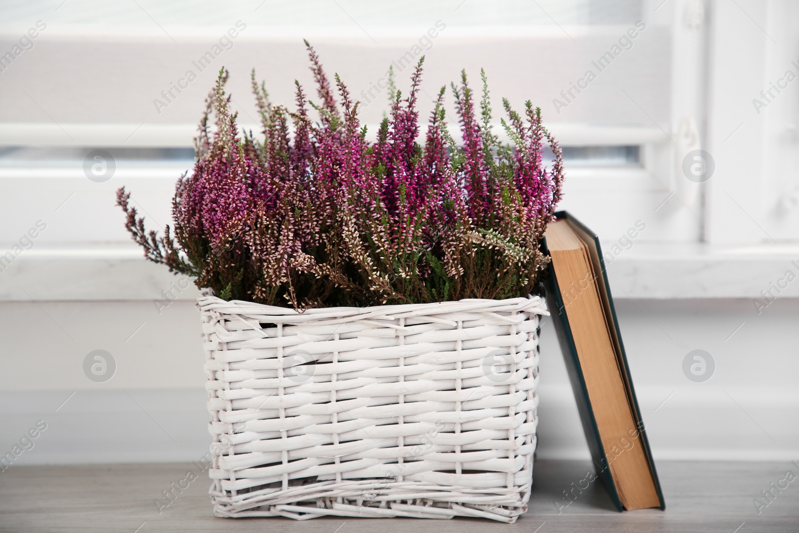 Photo of Beautiful heather flowers in wicker basket and book on table indoors