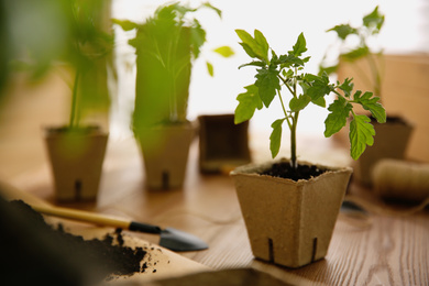 Soil, gardening trowel and green tomato seedling in peat pot on wooden table