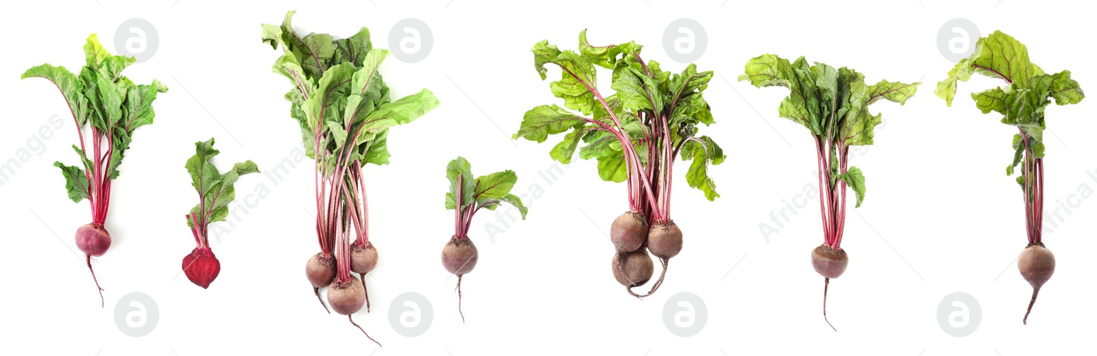 Image of Collage with ripe beetroots on white background