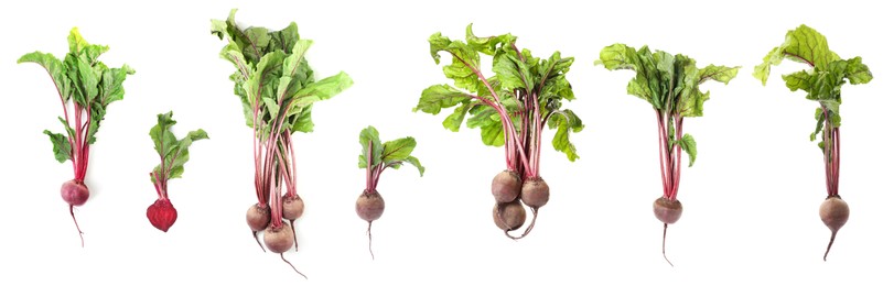 Collage with ripe beetroots on white background