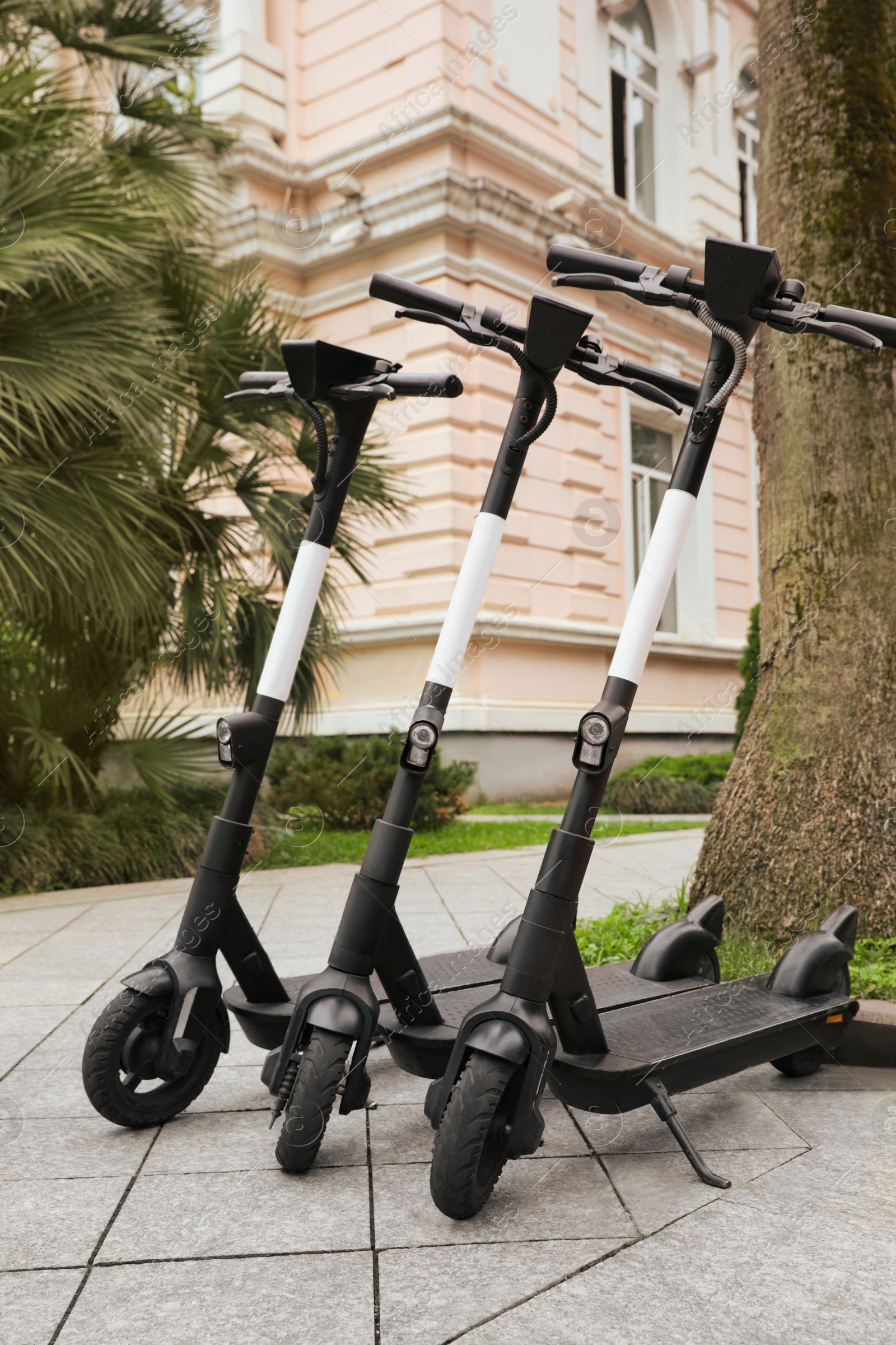 Photo of Row of electric scooters outdoors. Rental service