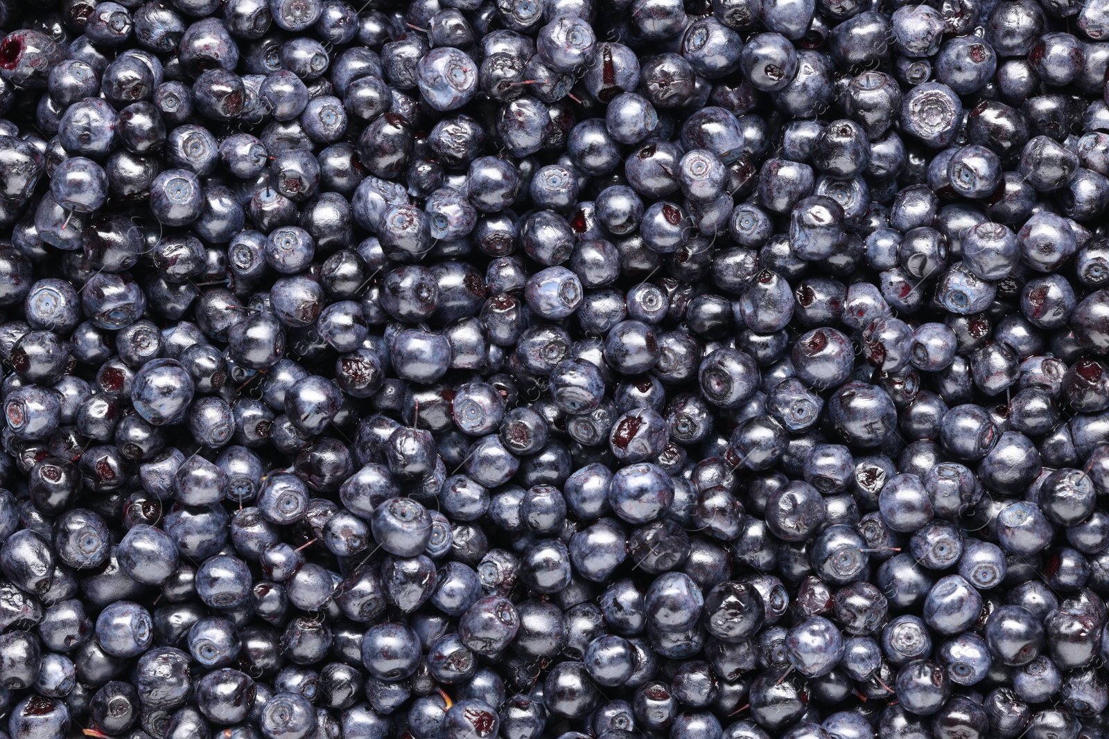 Photo of Many tasty fresh bilberries as background, top view