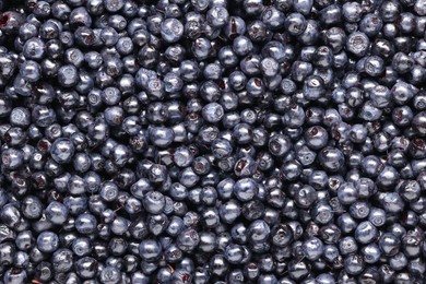 Many tasty fresh bilberries as background, top view