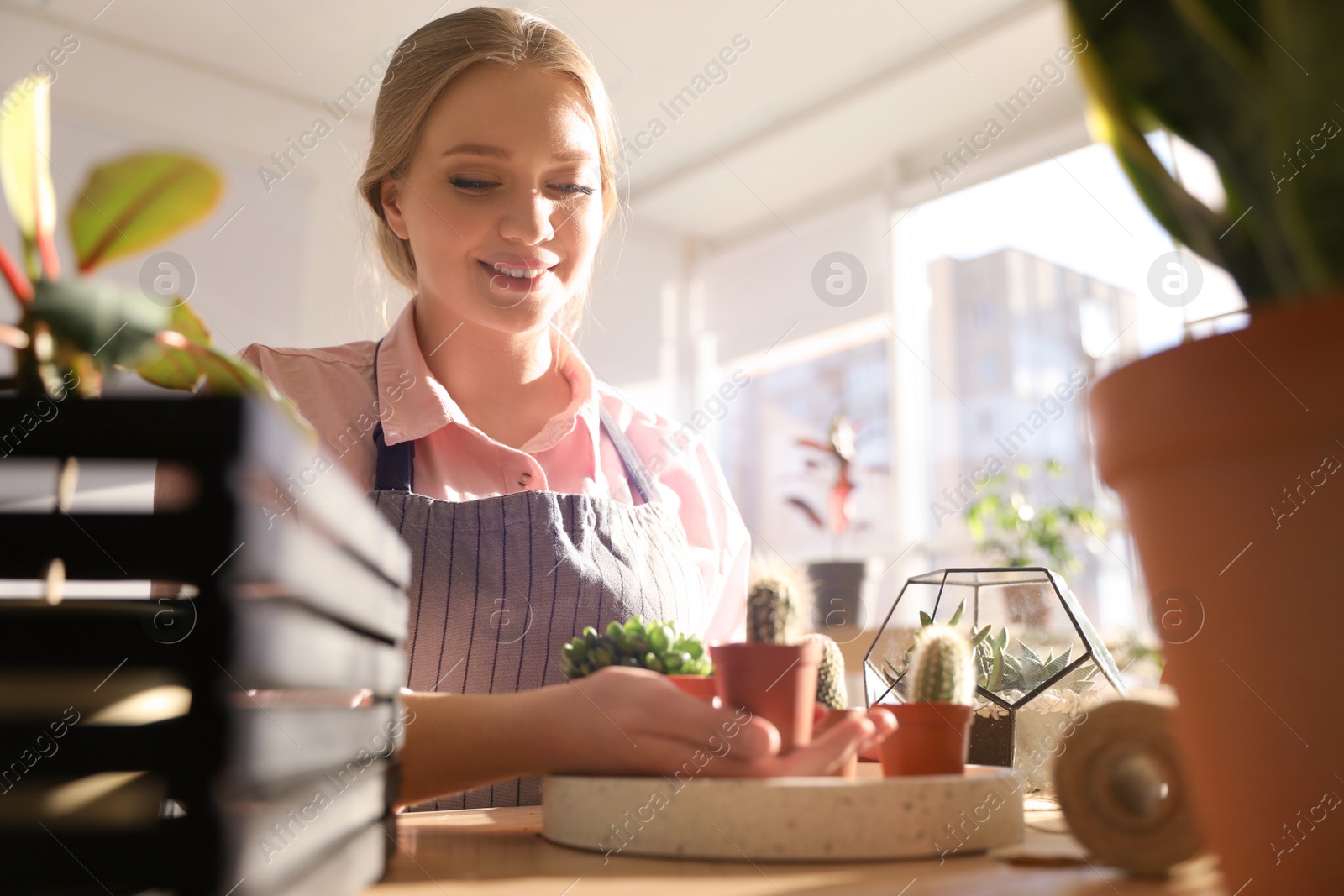 Photo of Young beautiful woman taking care of home plants at table indoors, space for text