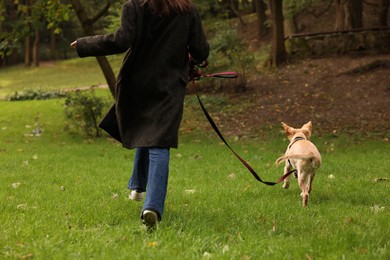 Photo of Woman with adorable Labrador Retriever puppy running on green grass in park, closeup