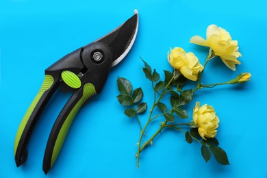 Photo of Secateur and beautiful yellow roses on light blue background, flat lay