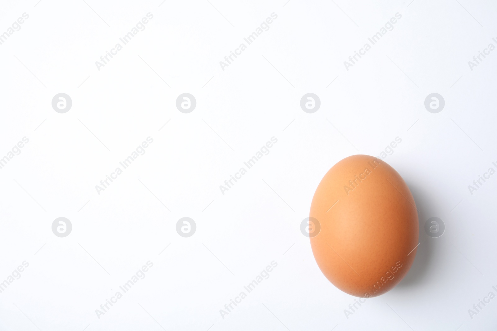 Photo of Raw brown chicken egg on white background, top view