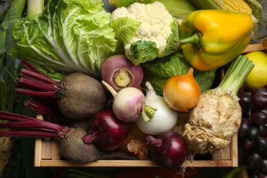 Photo of Different fresh vegetables in wooden crate as background, top view. Farmer harvesting