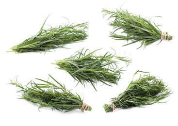 Image of Set with bunches of green tarragon isolated on white