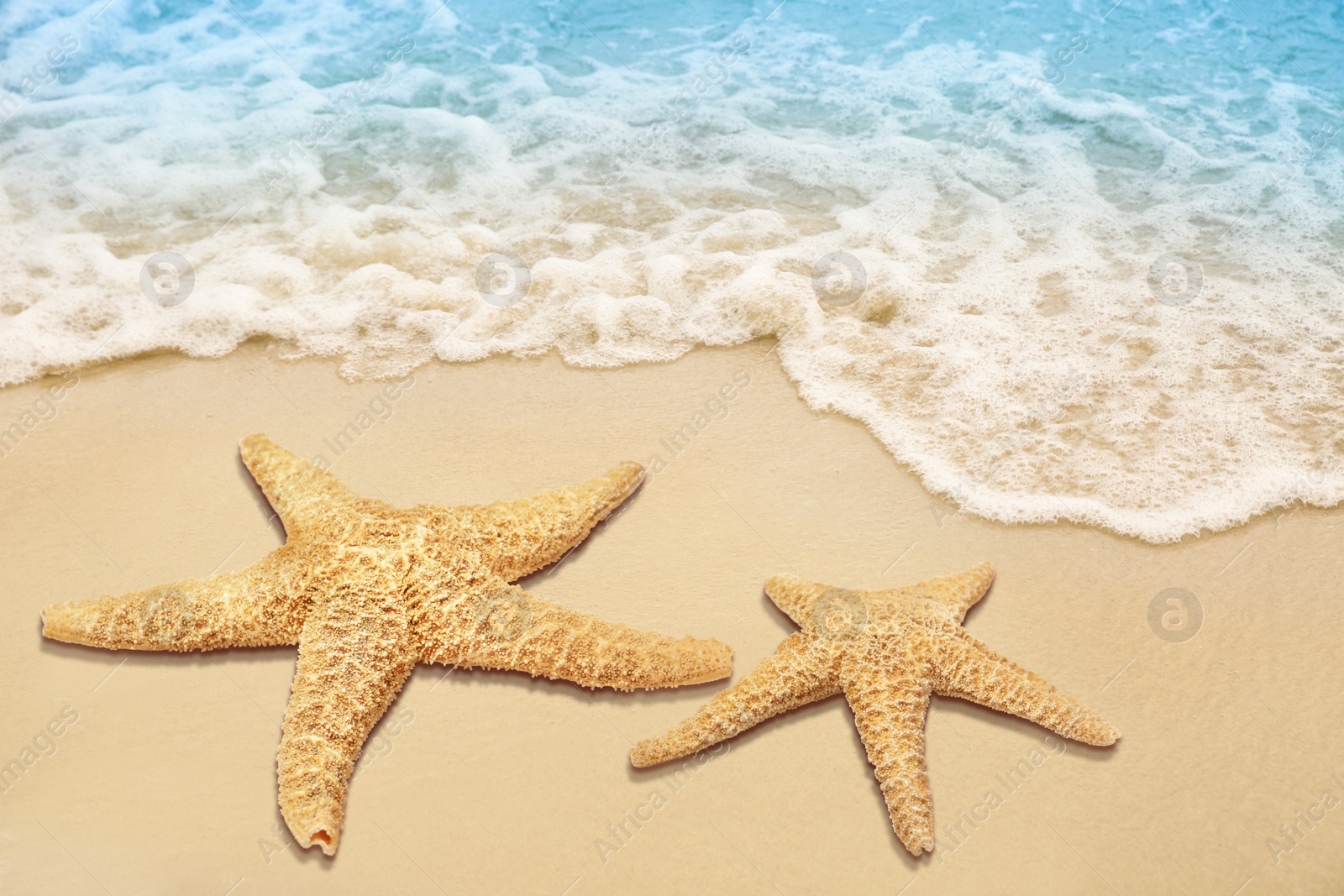 Image of Beautiful waves and sea stars on sandy beach