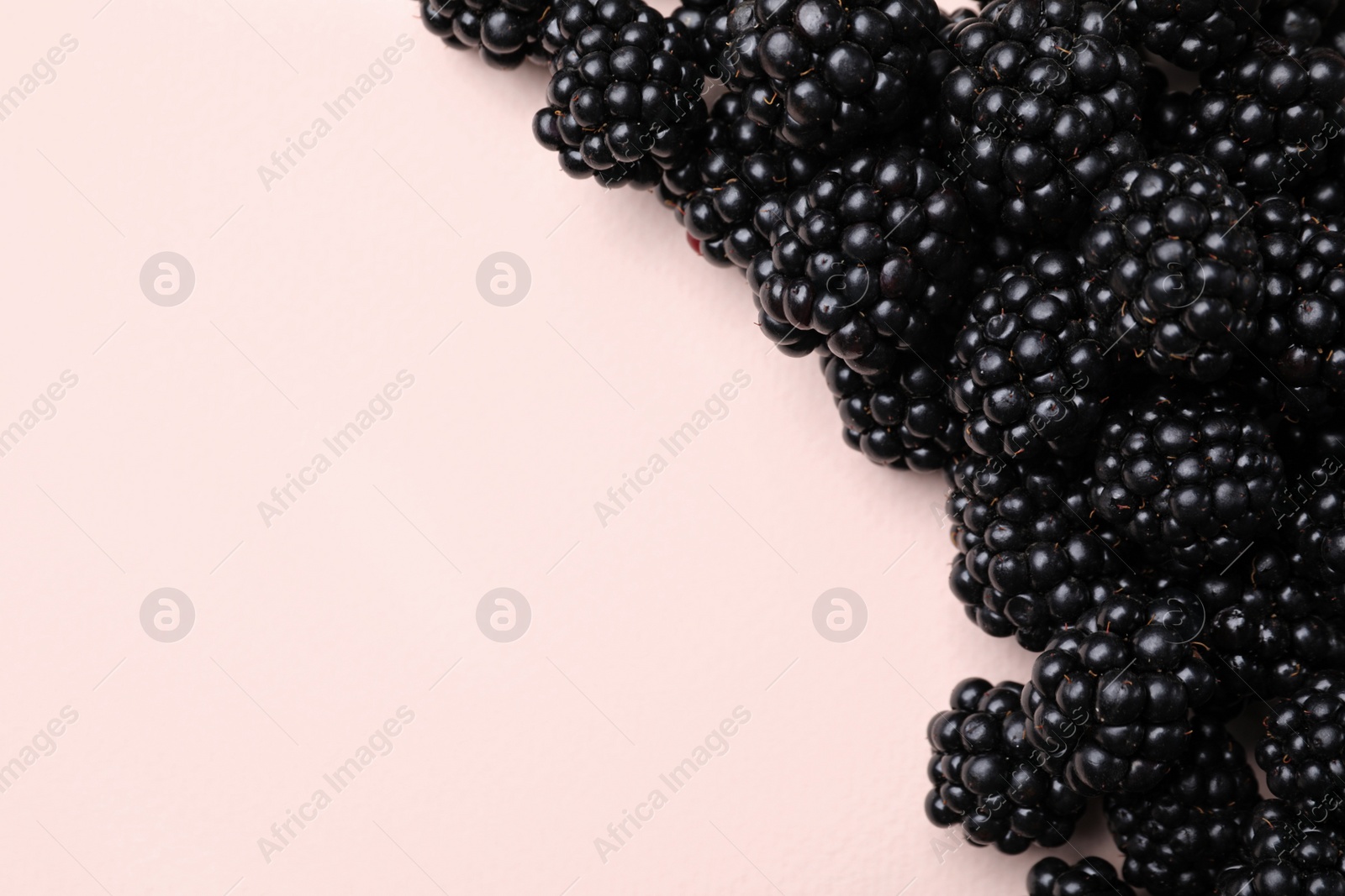 Photo of Tasty ripe blackberries on light background, flat lay. Space for text