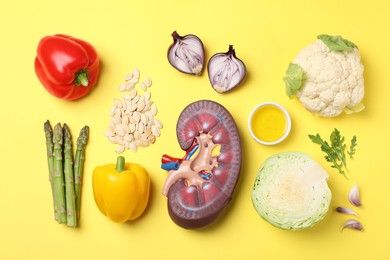 Photo of Kidney model and different healthy products on yellow background, flat lay