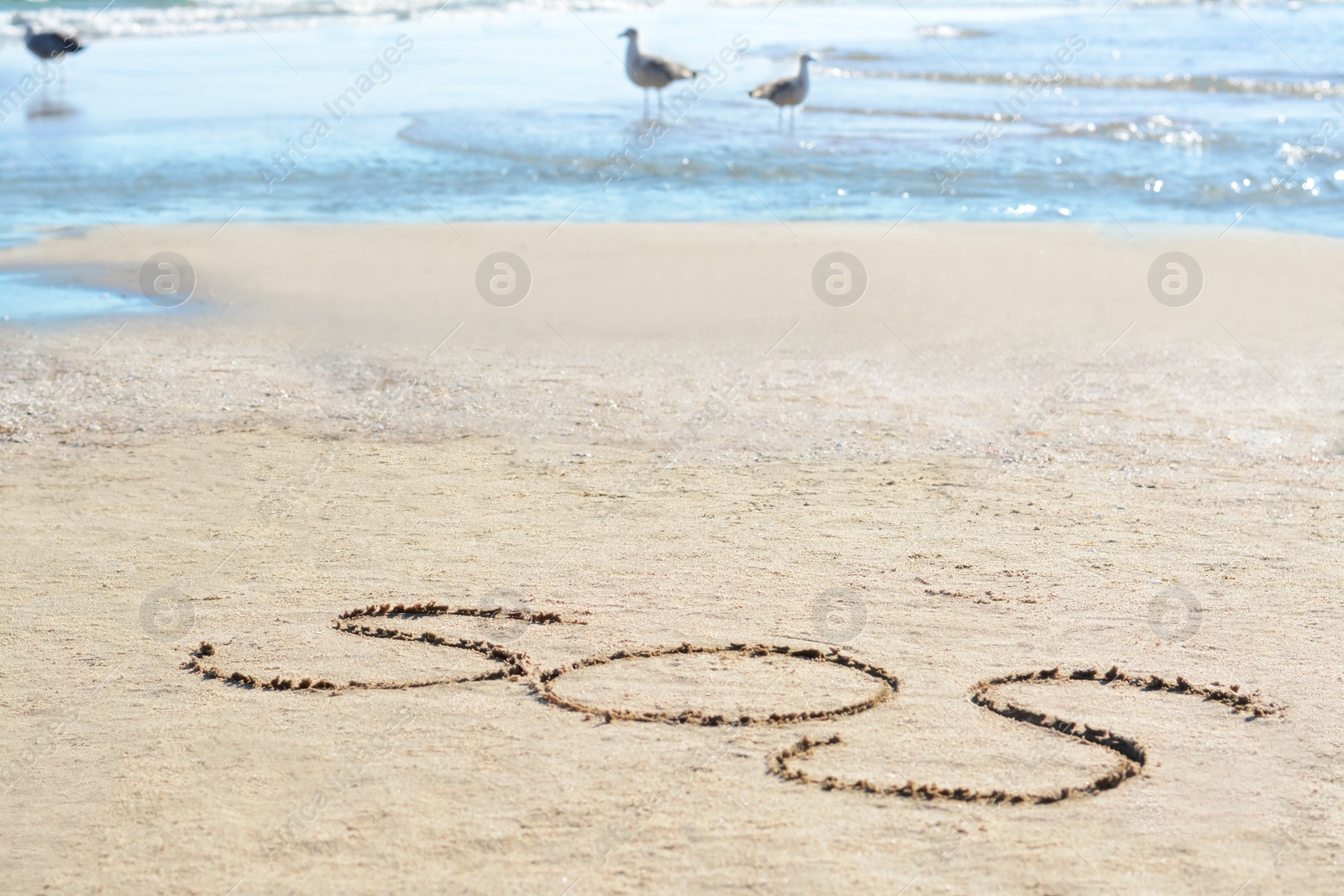 Photo of SOS message written on sand near sea