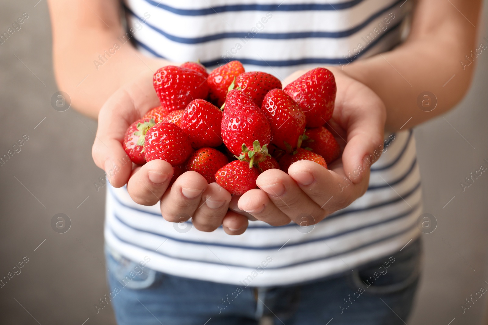 Photo of Woman holding ripe strawberries on grey background, closeup