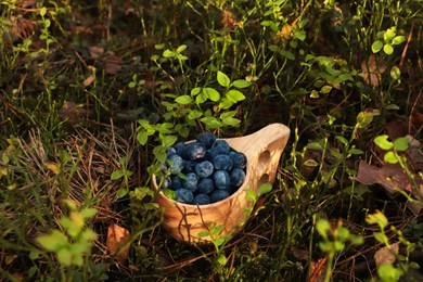 Photo of Wooden mug full of fresh ripe blueberries in grass