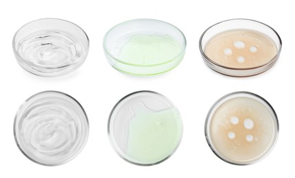 Image of Collage of Petri dishes with liquid samples isolated on white, top and side views