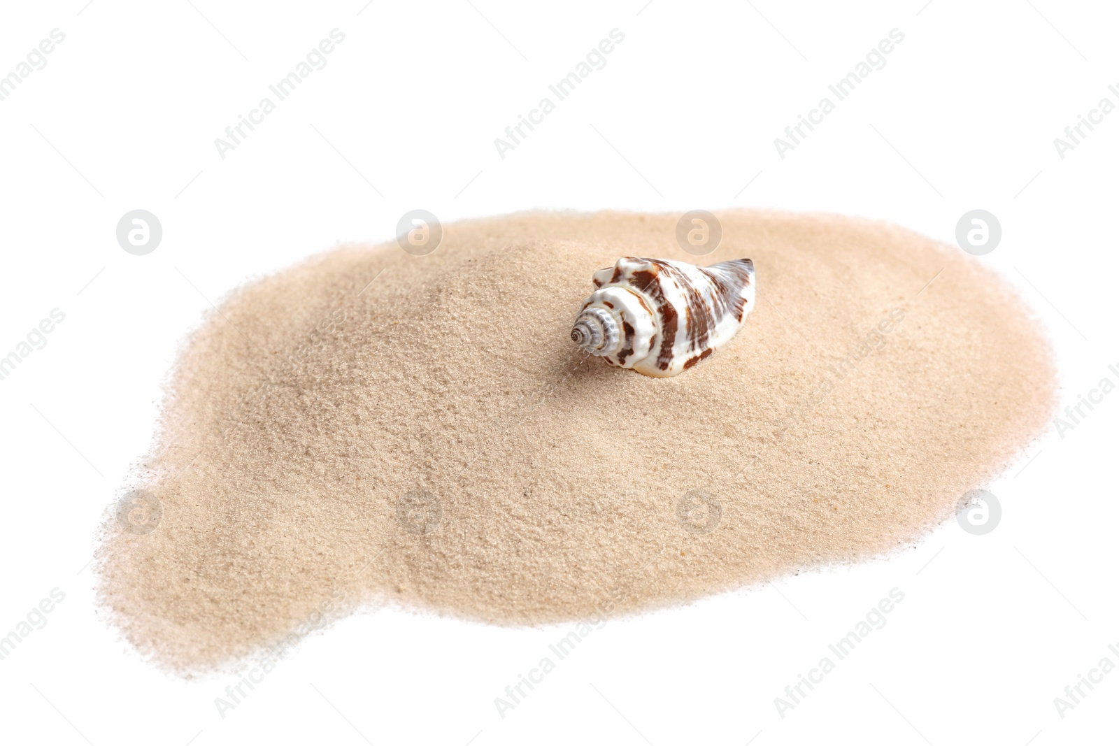 Photo of Pile of beach sand with sea shell isolated on white