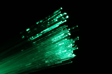 Photo of Optical fiber strands transmitting green light on black background, macro view. Space for text