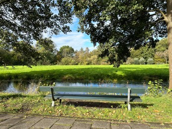 Photo of Wooden bench near pond in picturesque park