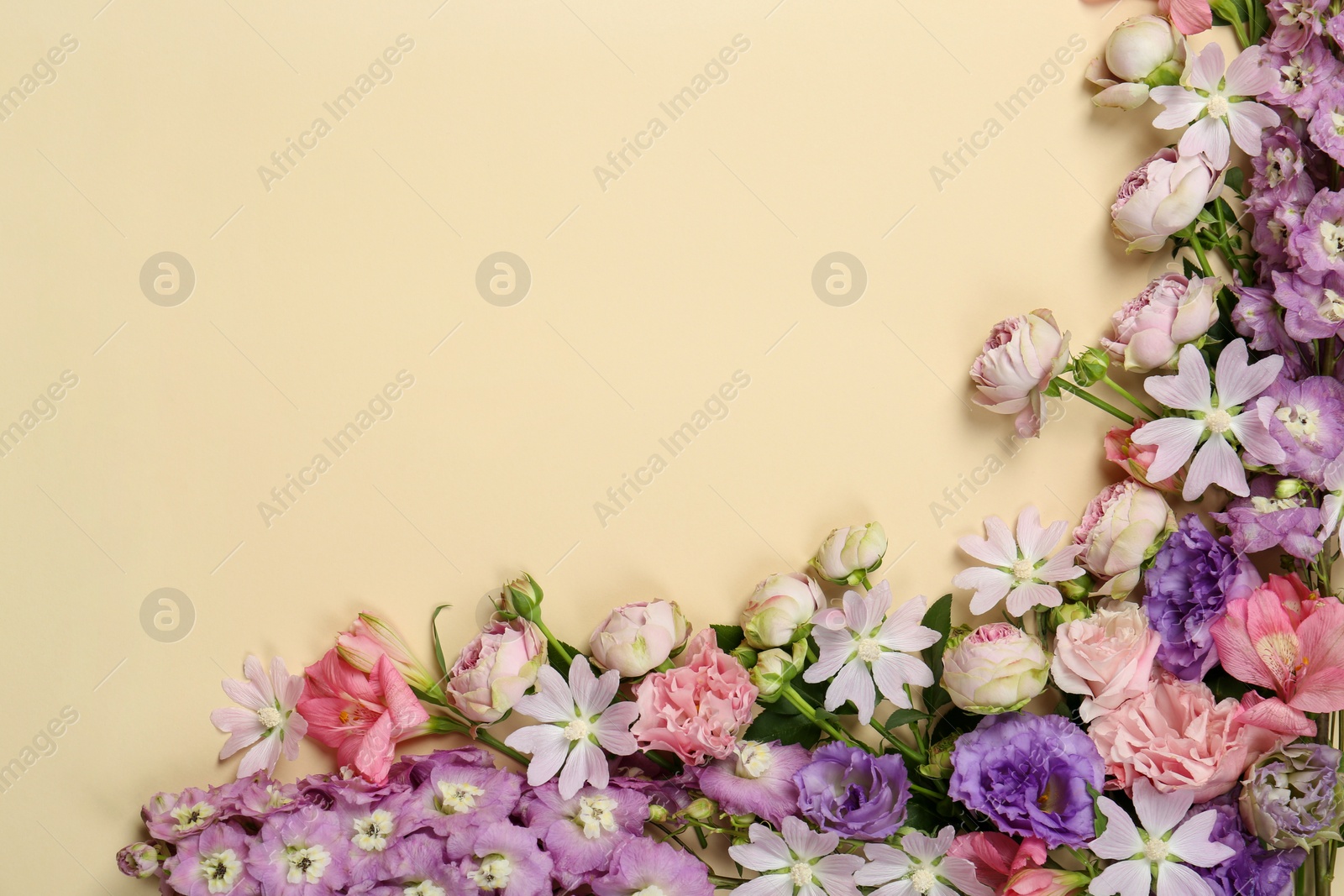 Photo of Flat lay composition with different beautiful flowers on beige background, space for text