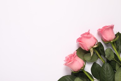 Photo of Beautiful pink roses on white background, top view. Space for text