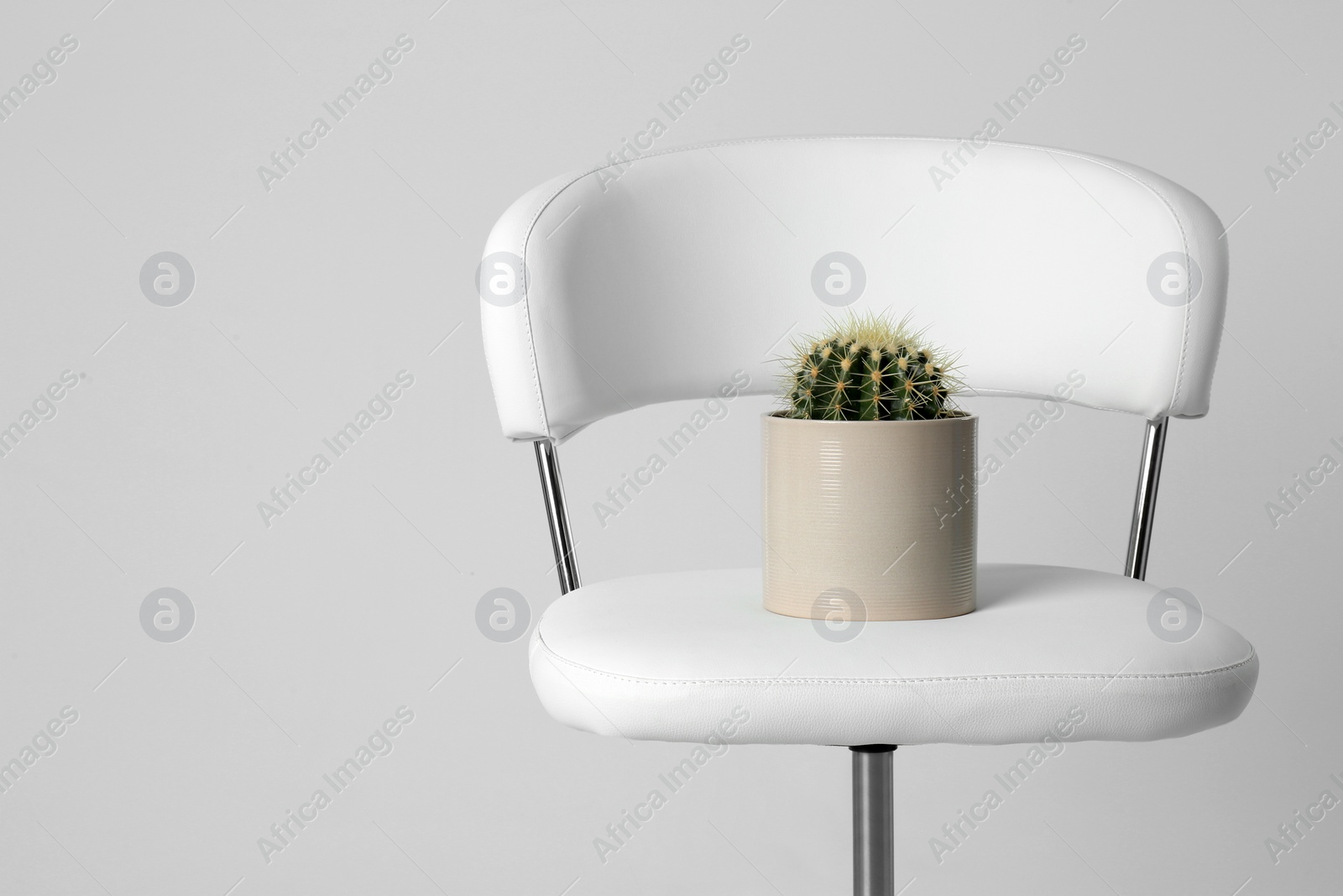 Photo of Chair with cactus isolated on white. Hemorrhoids concept