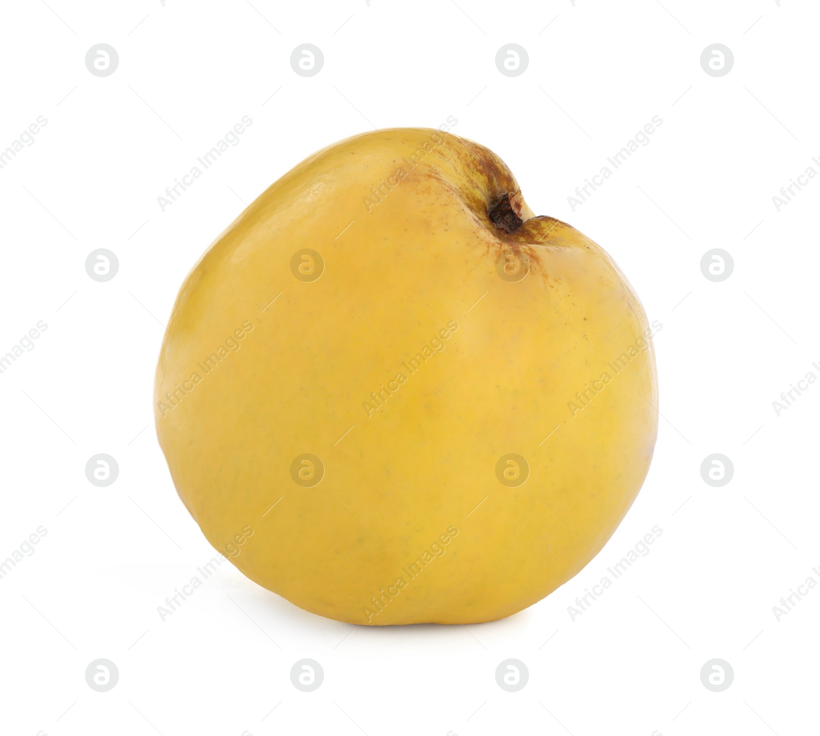 Photo of Delicious ripe fresh quince isolated on white