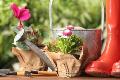 Photo of Blooming flowers and gardening equipment on table outdoors