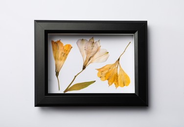 Photo of Frame with wild dried meadow flowers on white background, top view