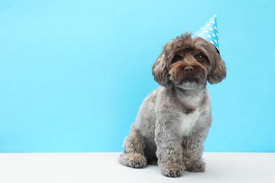 Photo of Cute Maltipoo dog with party hat on light blue background, space for text. Lovely pet