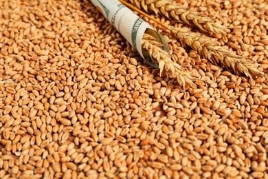 Photo of Dollar banknote and wheat ears on grains, closeup. Agricultural business