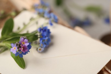 Photo of Beautiful Forget-me-not flowers on envelope, closeup. Space for text