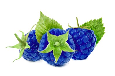 Image of Many fresh blue raspberries and green leaves isolated on white