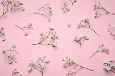 Photo of Beautiful floral composition with gypsophila flowers on pink background, flat lay