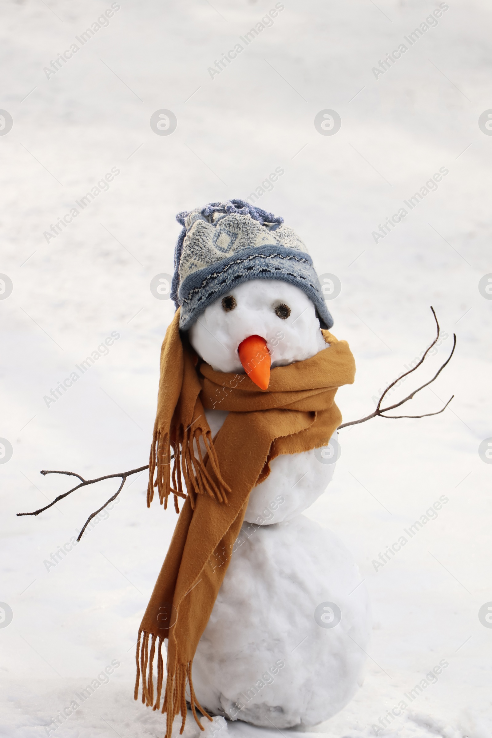 Photo of Funny snowman with scarf and hat in winter forest