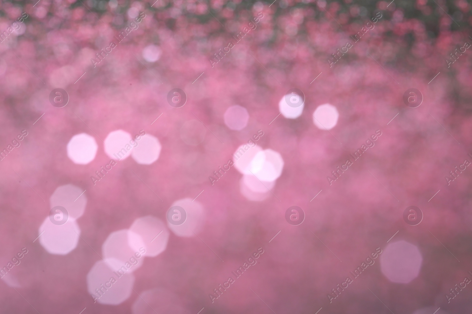 Photo of Bright magic pink bokeh effect as background