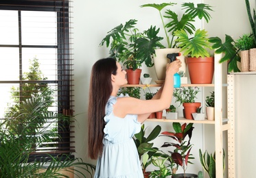 Woman spraying indoor plants near wall at home