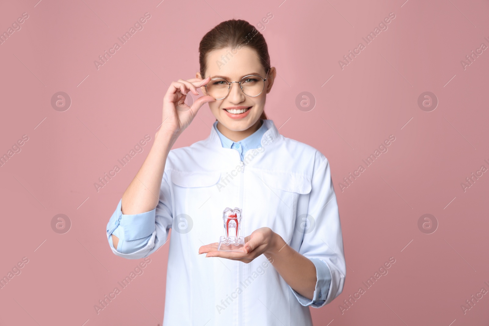 Photo of Female dentist holding tooth model on color background